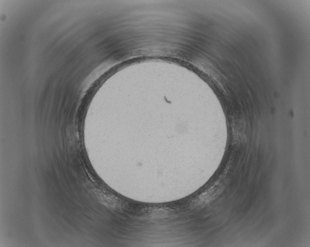 X0000073891070200609011647