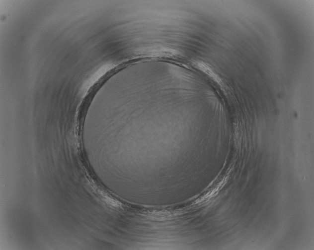 X0000073891071200609011647