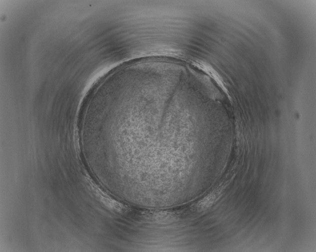 X0000073891072200609011647