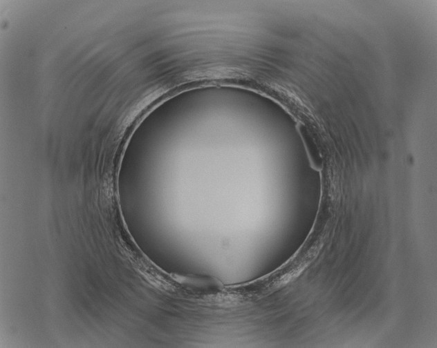 X0000073891073200609011647