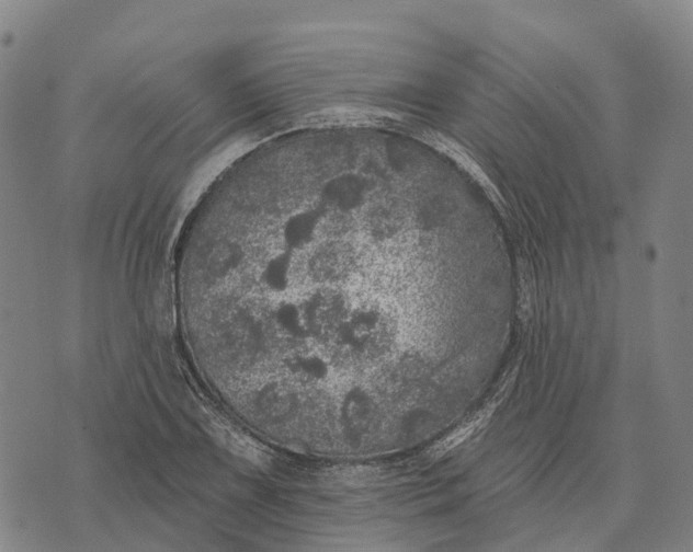 X0000073891075200609011647