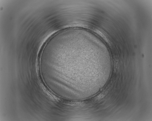 X0000073891076200609011647