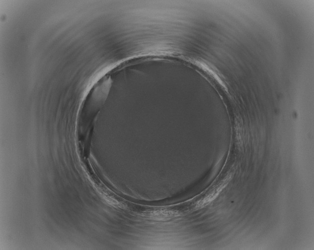 X0000073891077200609011647