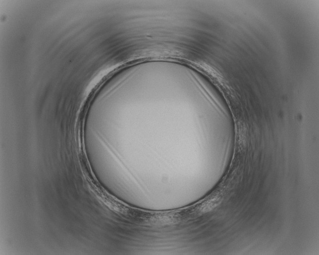 X0000073891078200609011647