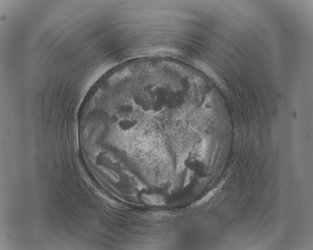 X0000073891079200609011647