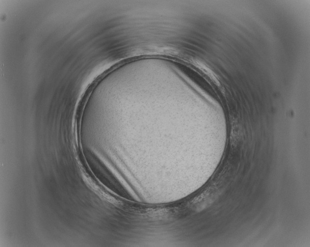 X0000073891080200609011647