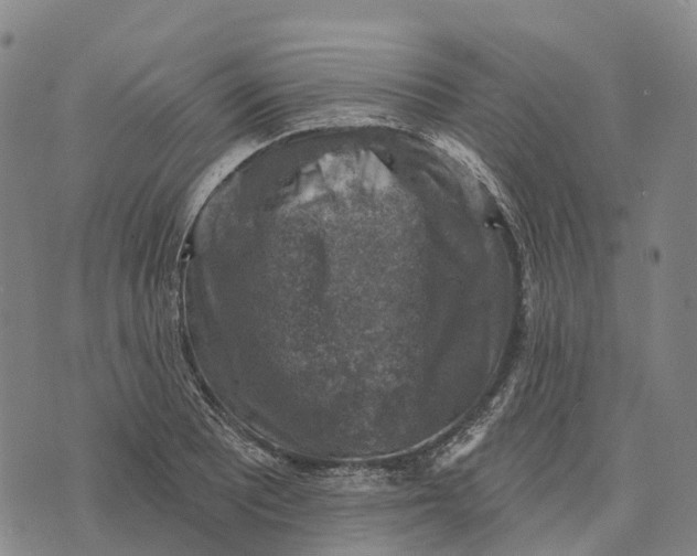 X0000073891081200609011647