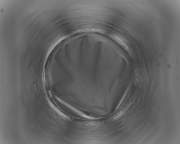 X0000073891084200609011647