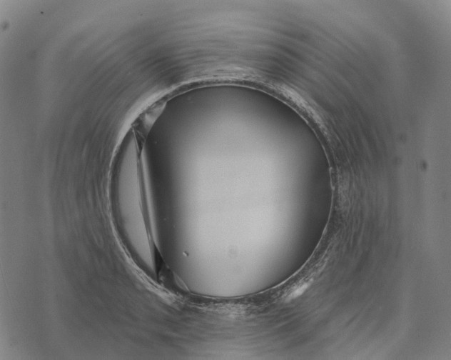 X0000073891085200609011647