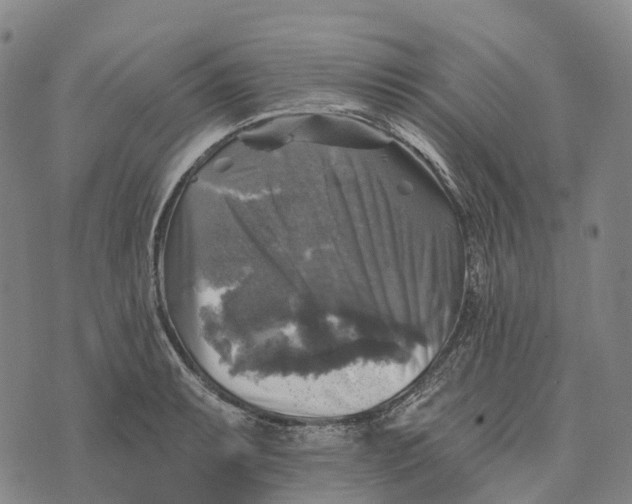 X0000073891087200609011647