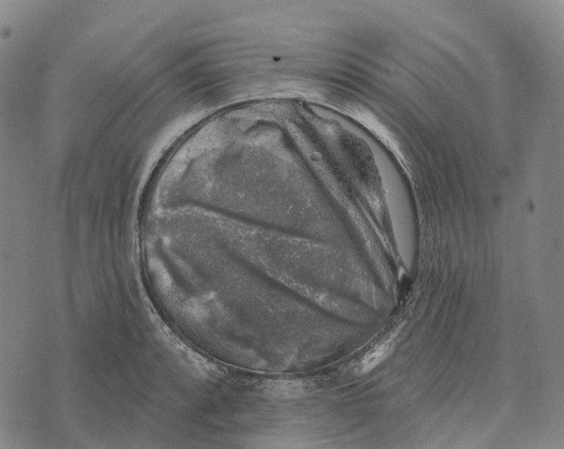 X0000073891088200609011647