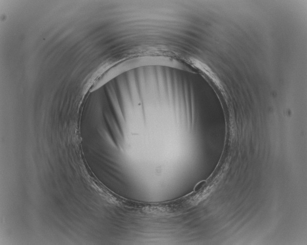 X0000073891089200609011647