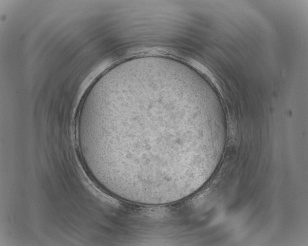 X0000073891090200609011647