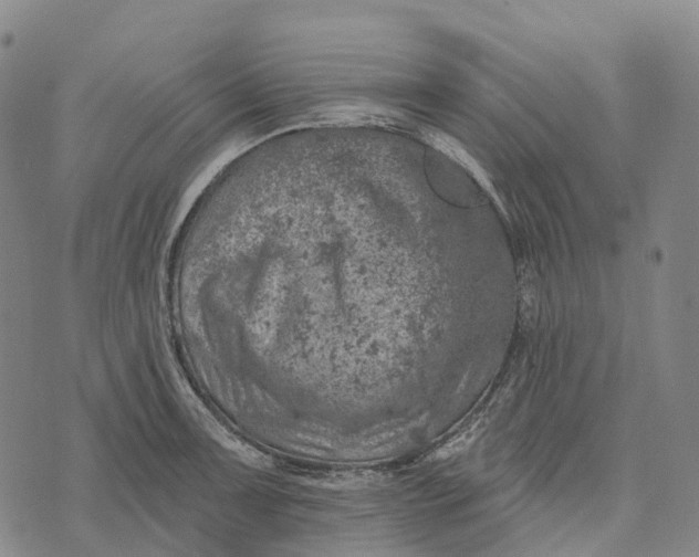 X0000073891091200609011647