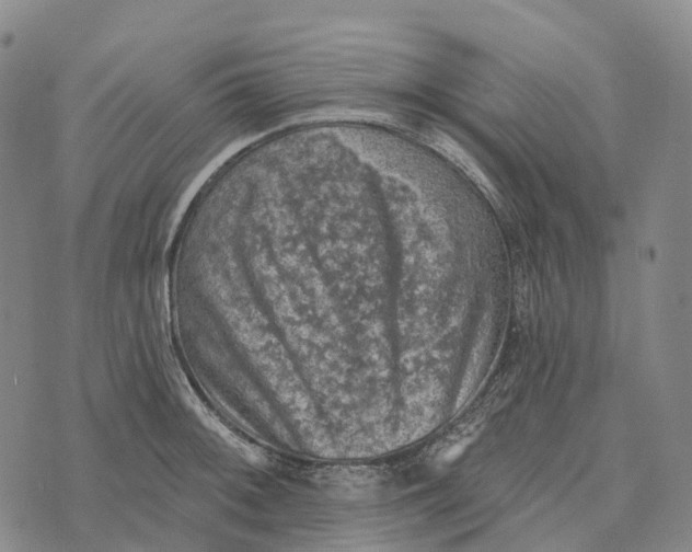 X0000073891092200609011647