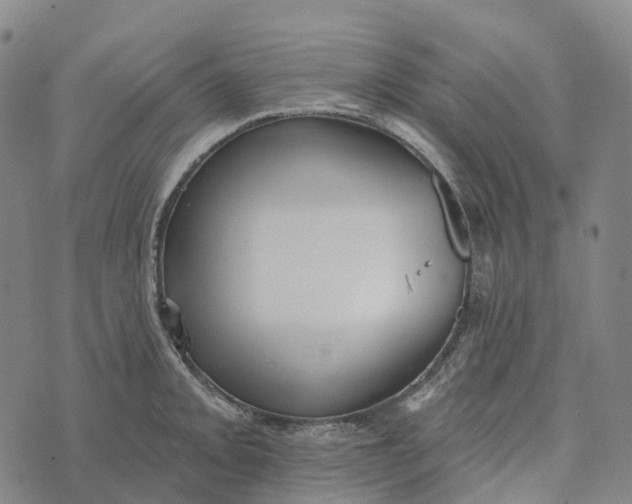 X0000073891093200609011647