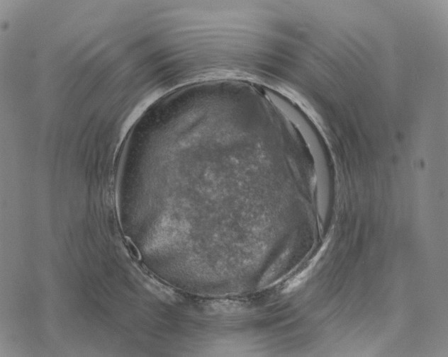 X0000073891097200609011647