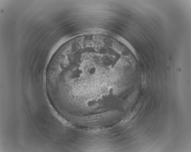 X0000073891099200609011647