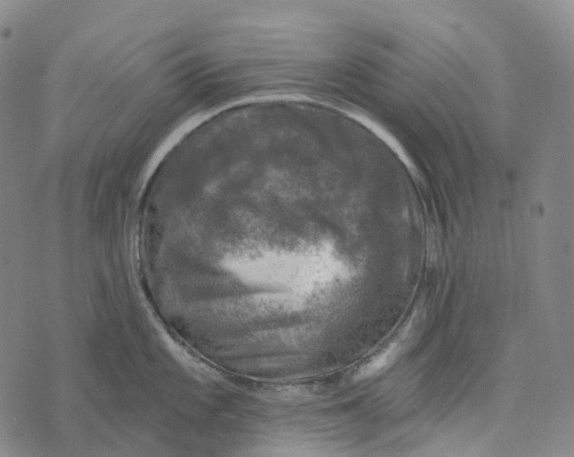 X0000073891101200609011647