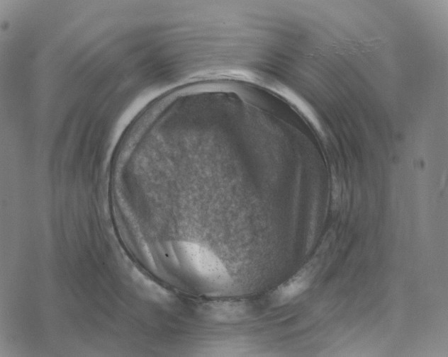 X0000073891102200609011647