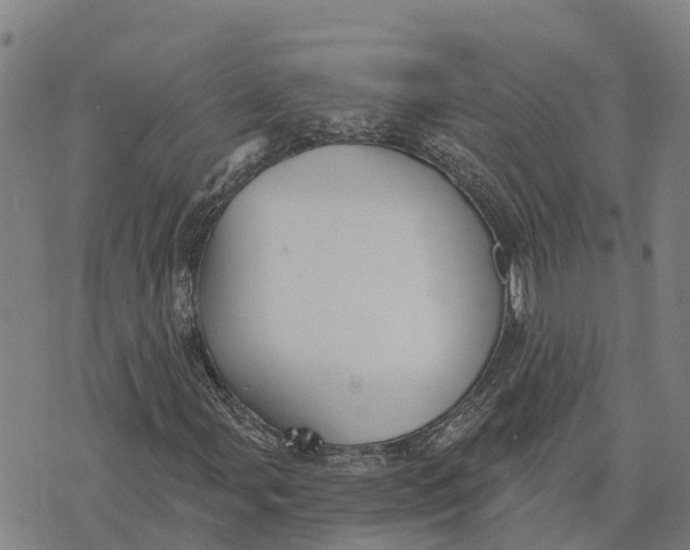 X0000073891107200609011646