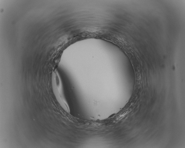 X0000073891109200609011646