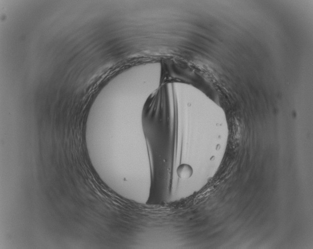 X0000073891110200609011646