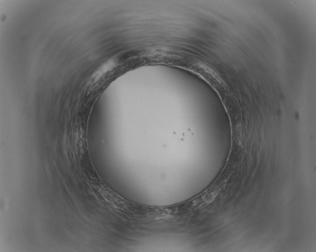 X0000073891111200609011646