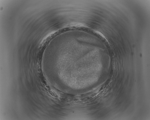 X0000073891112200609011646