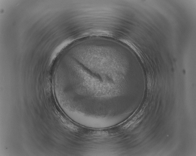 X0000073891115200609011646