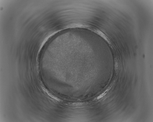 X0000073891116200609011646