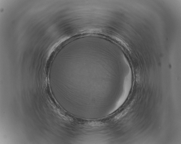 X0000073891117200609011646