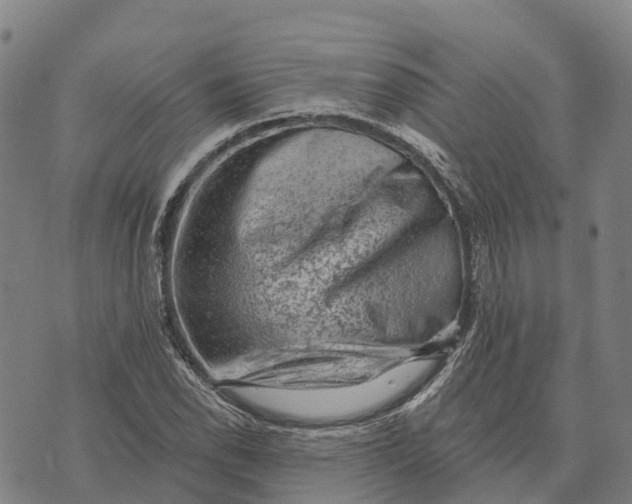 X0000073891118200609011646