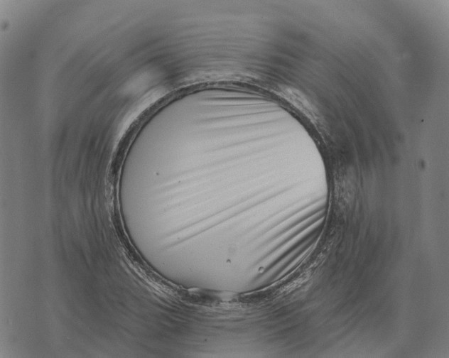 X0000073891119200609011646