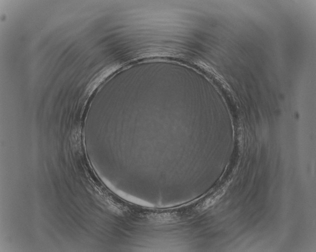 X0000073891121200609011646