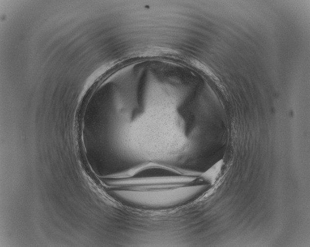 X0000073891122200609011646