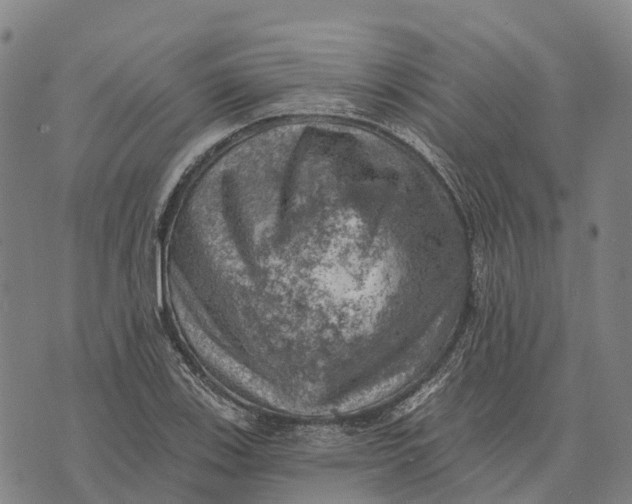 X0000073891123200609011646