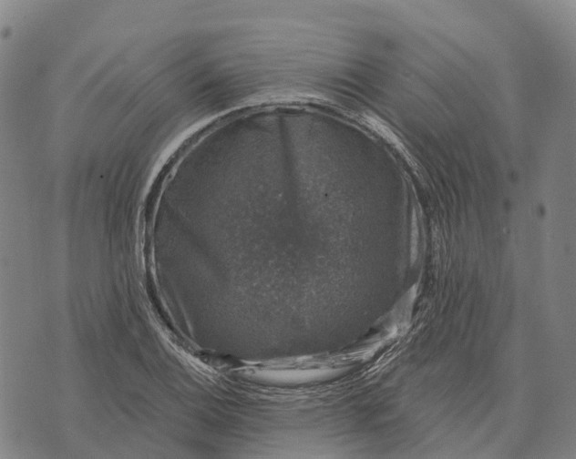 X0000073891124200609011646