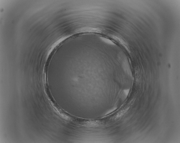 X0000073891125200609011646