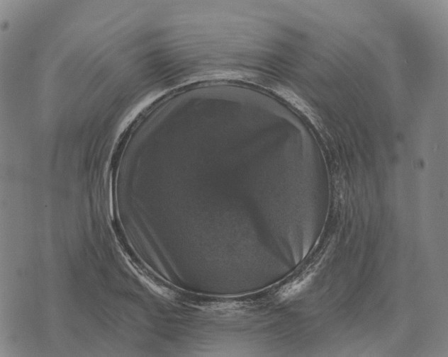 X0000073891127200609011646