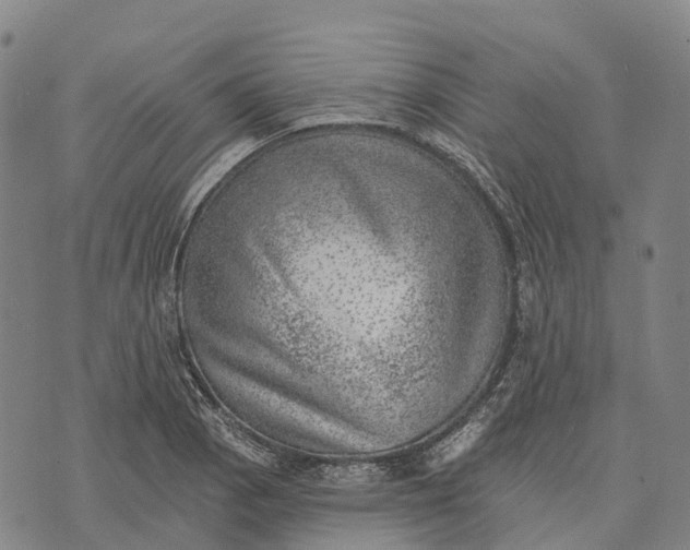 X0000073891129200609011646