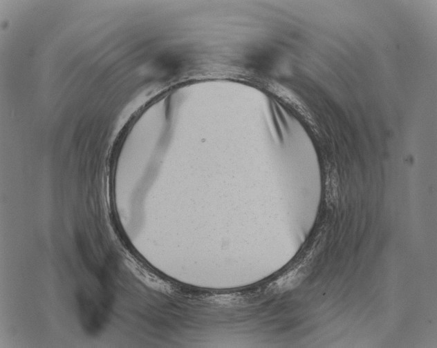 X0000073891130200609011646