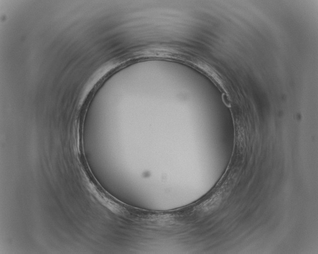 X0000073891131200609011646