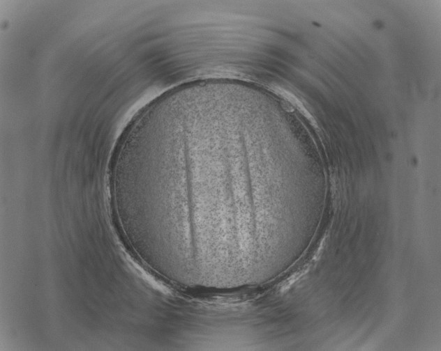 X0000073891133200609011646