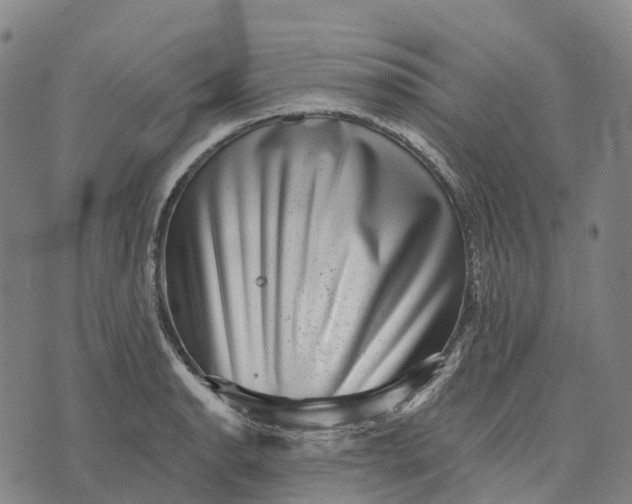 X0000073891134200609011646