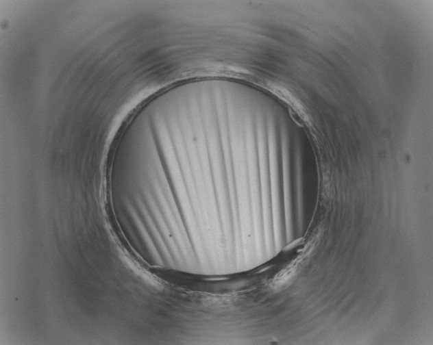 X0000073891136200609011646