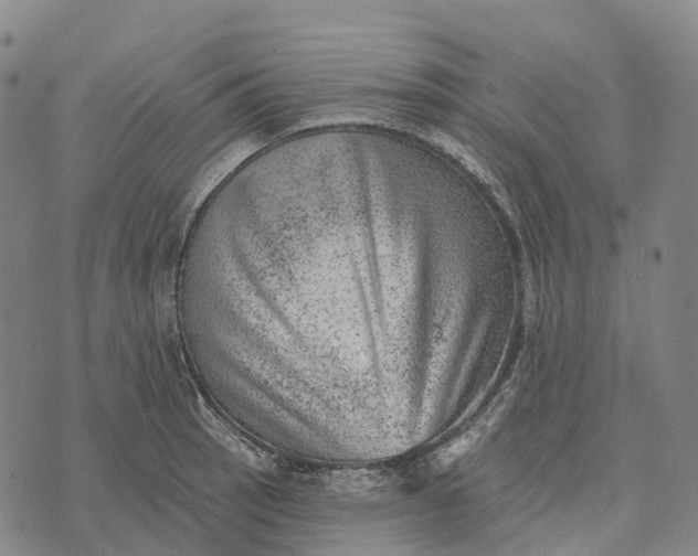 X0000073891137200609011646