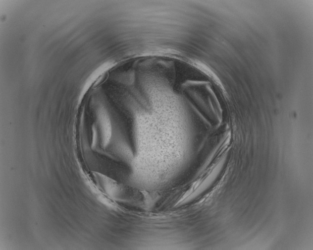 X0000073891138200609011646