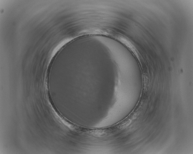 X0000073891141200609011647