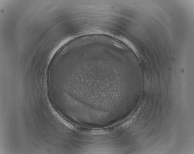 X0000073891142200609011647